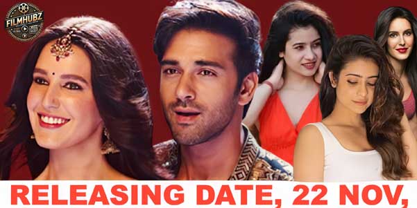 Latest Bollywood Top Five Upcoming Hindi Movies 2024, If You Want To Watch These Five Films Then Click Here