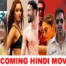 Latest Bollywood Top Five Upcoming Hindi Movies 2024, If You Want To Watch These Five Films Then Click Here