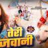 Teri Jawani – Arvind Akela Kallu & Shivani Singh’s Latest Bhojpuri Hit | New Bhojpuri Song 2025
