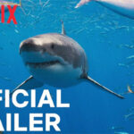 Scene from Netflix's "All the Sharks" Official Trailer showing deep-sea exploration