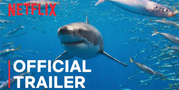 Scene from Netflix's "All the Sharks" Official Trailer showing deep-sea exploration